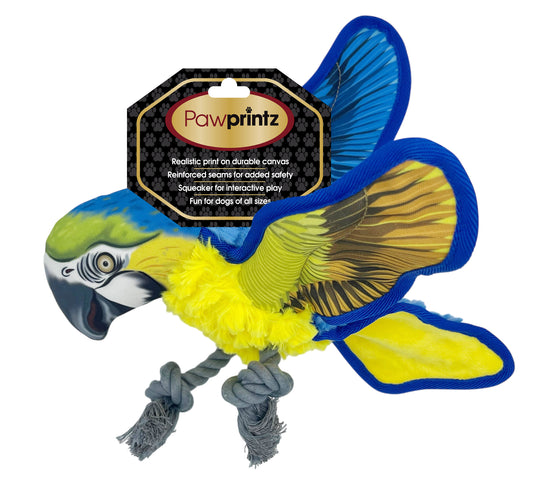 Pawprintz- Parrot