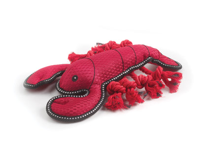 GeoZoo- Lobster